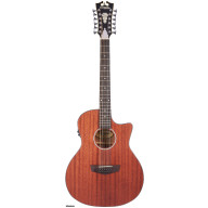 D'Angelico Premier Fulton LS 12 stängad Eq